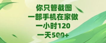 你只管截图，一部手机在家做，苹果安卓都可以，一天5张+【揭秘】-甄选网创