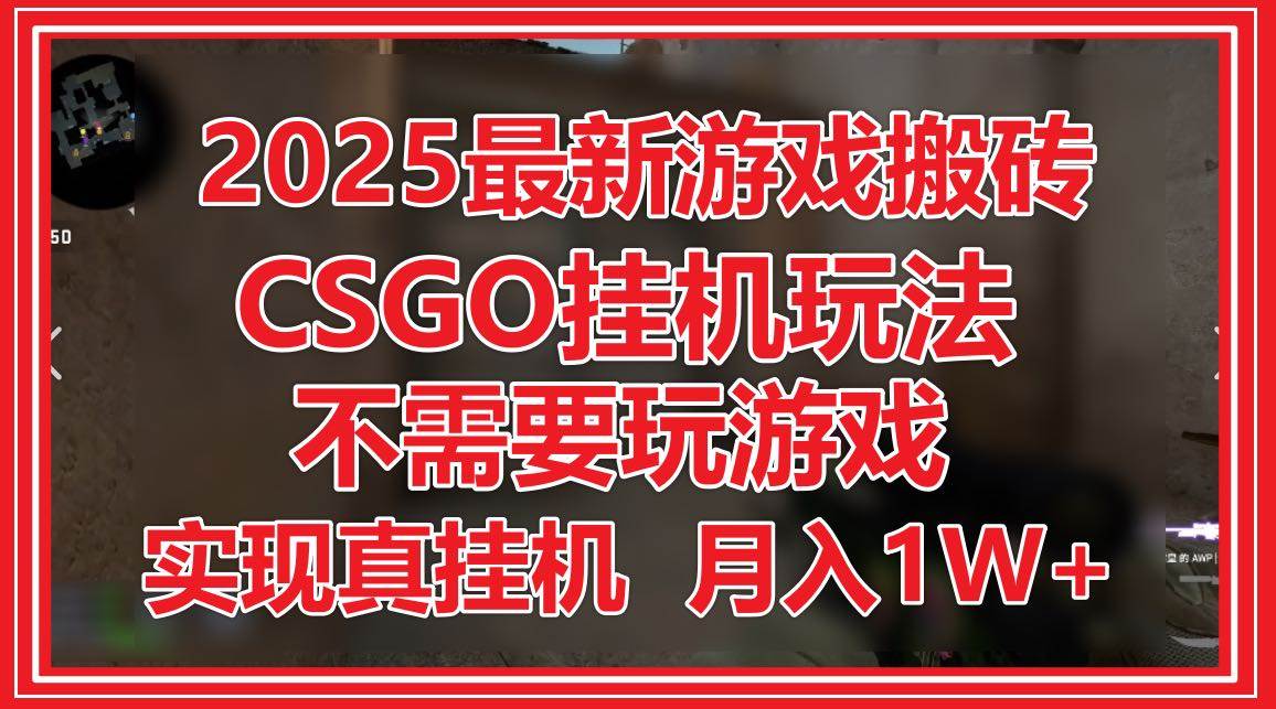 （14743期）2025最新游戏搬砖，CSGO挂机，不需要玩游戏，实现真挂机，月入1W+-甄选网创