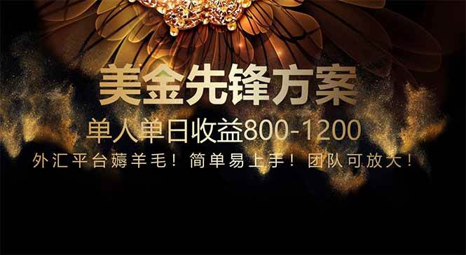 （14761期）免费技术！小众赛道！一年布局抵三年努力，每日800+-甄选网创
