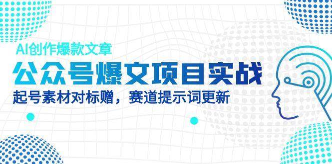 （14709期）公众号爆文项目实战，AI创作爆款文章，起号素材对标赠（附赛道AI提示词）-甄选网创