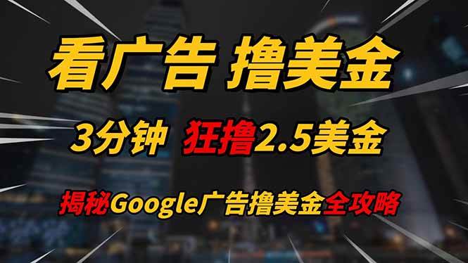 （14701期）看广告，撸美金！！3分钟赚2.5美金！！日入200美金不是梦！揭秘Google…-甄选网创