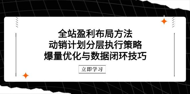 （14698期）全站盈利布局方法：动销计划分层执行策略，爆量优化与数据闭环技巧-甄选网创