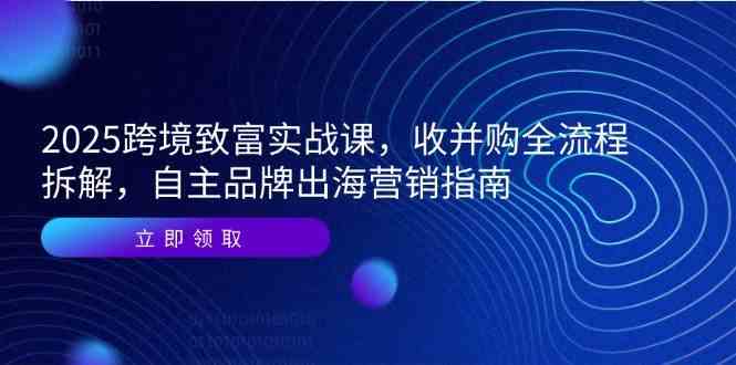 2025跨境致富实战课，收并购全流程拆解，自主品牌出海营销指南-甄选网创