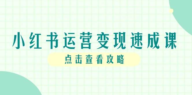 小红书运营变现速成课，账号搭建到暴力起号，个人IP全流程指南-甄选网创