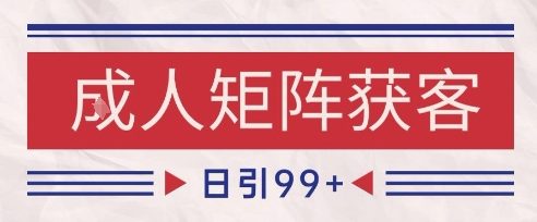 小红书某音橙人赛道引流获客，自热矩阵日引200+【揭秘】-甄选网创