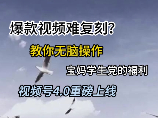 视频号4.0重磅上线，爆款视频难复刻？教你无脑操作宝妈学生党的福利【揭秘】-甄选网创