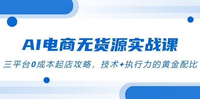 （14982期）AI电商无货源实战课，三平台0成本起店攻略，技术+执行力的黄金配比-甄选网创
