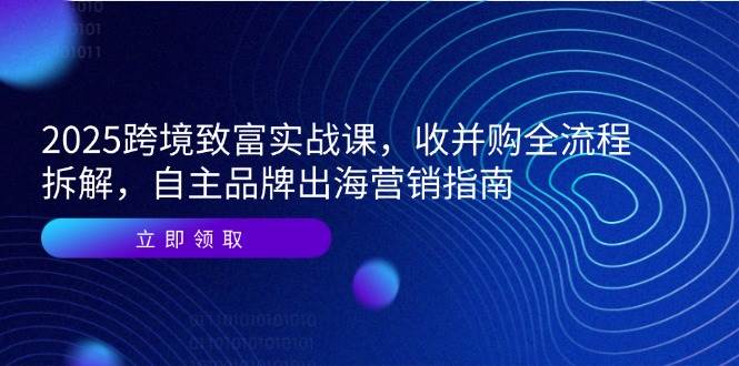 （14975期）2025跨境致富实战课，收并购全流程拆解，自主品牌出海营销指南-甄选网创