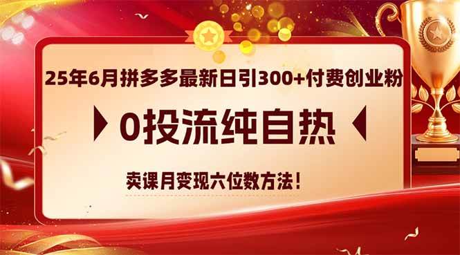 （14989期）25年6月拼多多最新日引300+付费创业粉，0投流纯自热 卖课月变现六位数方法-甄选网创