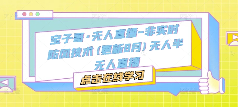 宝子哥·无人直播-非实时防风技术(更新25年6月)无人半无人直播-甄选网创