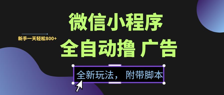 （15134期）微信小程序挂机撸广告，全新玩法，新手一天轻松800+【附带脚本】-甄选网创