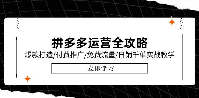 （15085期）拼多多运营全攻略，爆款打造/付费推广/免费流量/日销千单实战教学/6月更新-甄选网创