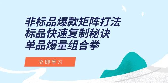 （15068期）非标品爆款矩阵打法，标品快速复制秘诀，单品爆量组合拳-甄选网创