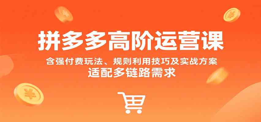 拼多多高阶运营课，含强付费玩法、规则利用技巧及实战方案，适配多链路需求-甄选网创
