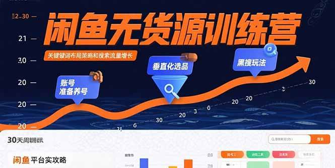 （15698期）闲鱼无货源训练营：账号准备养号/垂直化选品/黑搜玩法，0基础30天盈利指南-甄选网创