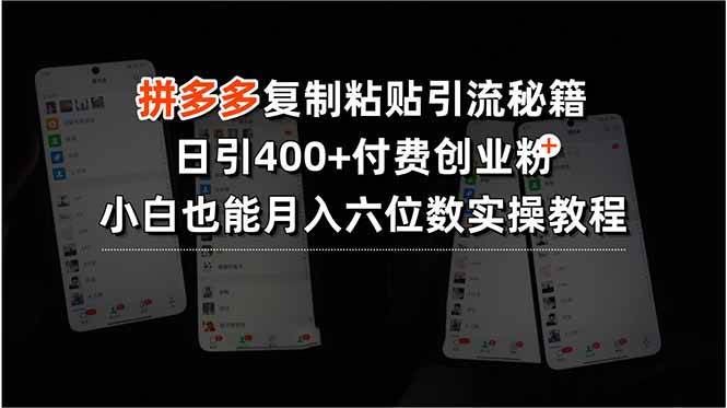 （15613期）拼多多复制粘贴引流秘籍，日引400+付费创业粉，小白也能月入六位数实操…-甄选网创