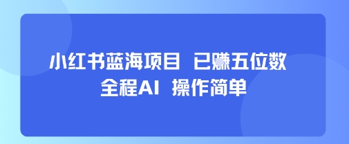 小红书蓝海项目，全程AI，操作简单，已挣五位数-甄选网创