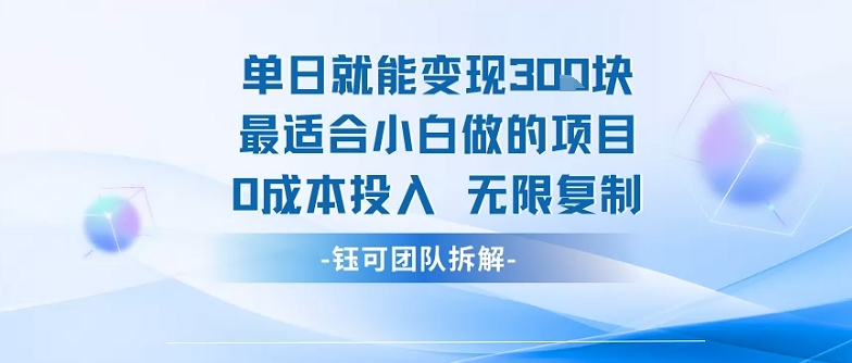 单日就能变现3张最适合小白做的项目0成本投入 无限复制-甄选网创