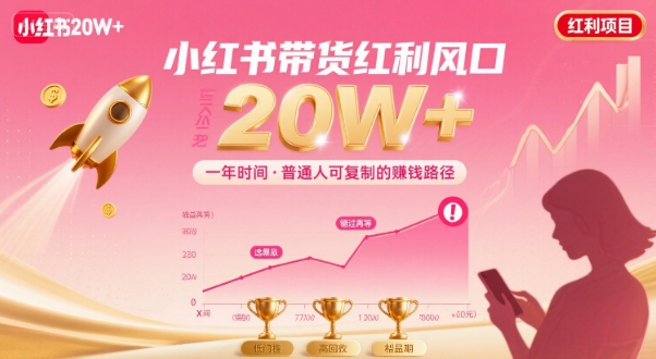 一年时间靠小红书带货项目年入20w+，最不能错的大红利项目-甄选网创