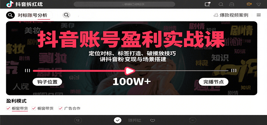 抖音账号盈利实战课，定位对标、标签打造、破播放技巧，讲涨粉变现与场景搭建-甄选网创