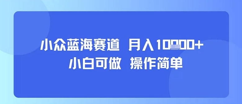 小众蓝海赛道，小白可做，操作简单，每天30分钟，月入1W+-甄选网创