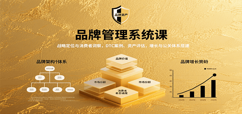 品牌管理系统课：战略定位与消费者洞察，DTC案例、资产评估，增长与公关体系搭建-甄选网创