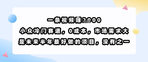 一条视频挣1k，小众冷门赛道，0成本，市场需求大，是未来半年最好做的项目，没有之一-甄选网创