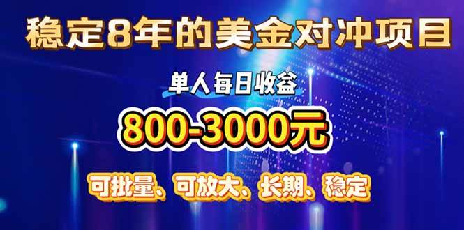 （15782期）稳定8年的美金对冲创业项目，单人每日收益800-3000，小众暴力项目-甄选网创
