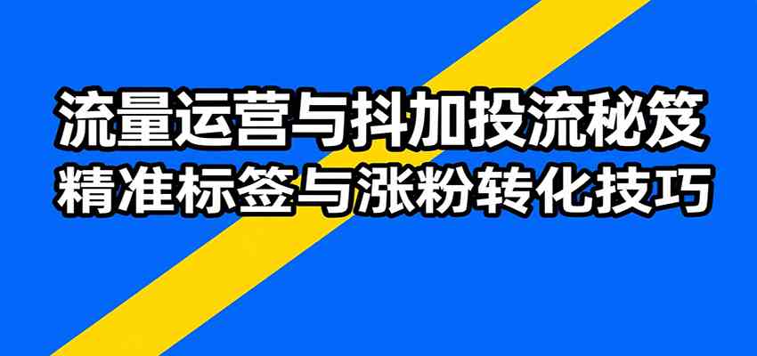 流量运营与抖加投流秘笈，含算法解析、爆款打造、精准标签与涨粉转化技巧-甄选网创