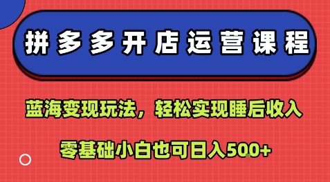 拼多多开店运营课程：蓝海变现玩法，轻松实现睡后收入，零基础小白也可日入5张-甄选网创