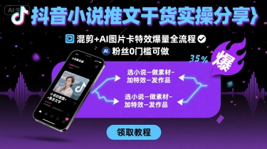 抖音小说推文干货实操分享，混剪+AI图片卡特效爆量全流程，0粉丝0门槛可做-甄选网创
