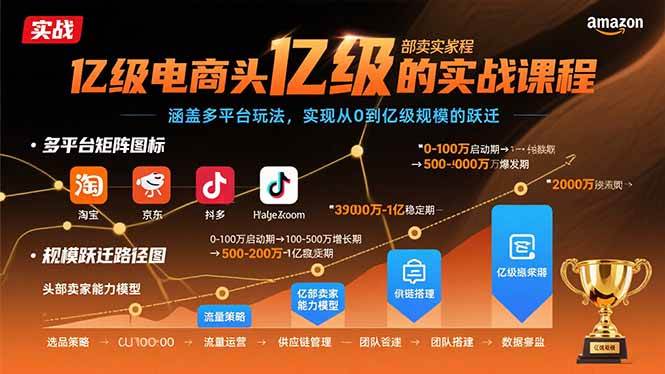（15803期）亿级电商头部卖家的实战课程：涵盖多平台玩法，实现从0到亿级规模的跃迁-甄选网创