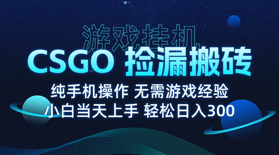 （15820期）8月最新游戏搬砖，CSGO纯挂机，不需要玩游戏，实现真挂机，月入1W+-甄选网创