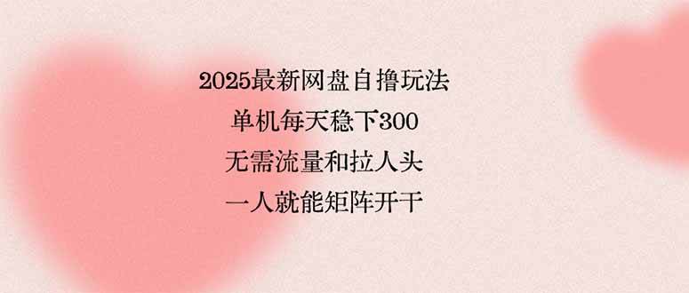 （15831期）2025最新网盘自撸玩法，单机每天稳下3张，无需流量和拉人头，一个人就…-甄选网创