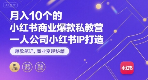月入10个的小红书商业爆款私教营，一人公司小红书IP打造，爆款笔记，商业变现秘籍-甄选网创