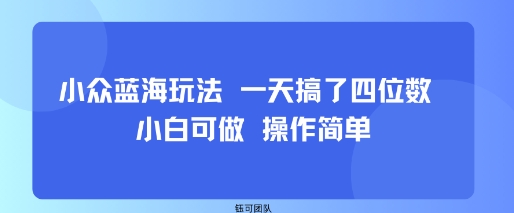 小众蓝海玩法 一天搞了四位数 小白可做 操作简单-甄选网创
