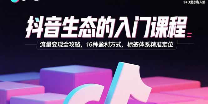 （15856期）抖音生态的入门课程：流量变现全攻略，16种盈利方式，标签体系精准定位-甄选网创