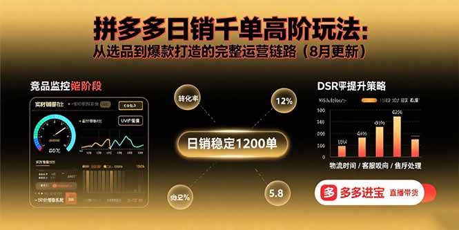 （15850期）拼多多日销千单高阶玩法：从选品到爆款打造的完整运营链路（8月更新）-甄选网创