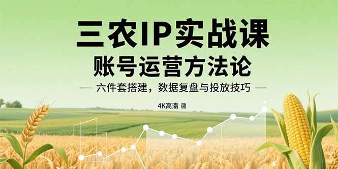 （15864期）三农IP实战课：账号运营方法论，六件套搭建，数据复盘与投放技巧-甄选网创