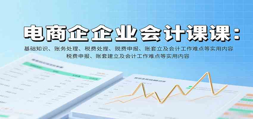 电商企业会计课：基础知识、账务处理、税费申报、账套建立及会计工作难点等实用内容-甄选网创