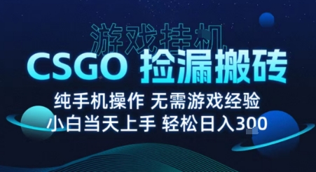 8月最新游戏搬砖，CSGO纯挂G，不需要玩游戏，实现真挂G，月入1W+【揭秘】-甄选网创