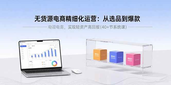 （15896期）无货源电商精细化运营：从选品到爆款，实现轻资产高回报(40+节系统课)-甄选网创