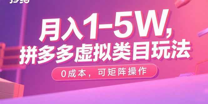 （15903期）月入1-5W，拼多多虚拟类目玩法，0成本，可矩阵操作-甄选网创