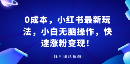 0成本，小红书最新玩法，小白无脑操作，快速涨粉变现-甄选网创