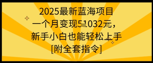 2025最新蓝海项目一个月变现1w+新手小白也能轻松上手【附全套指令】-甄选网创