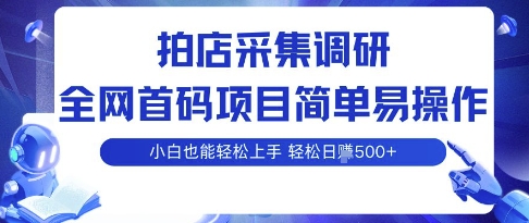 拍店采集调研，全网首码项目，简单易操作， 小白也能轻松上手，多账号操作，轻松日入5张【揭秘】-甄选网创