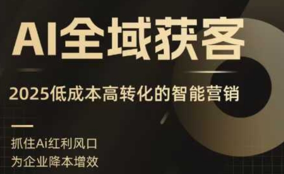 AI全域获客实训营，2025低成本高转化的智能营销，精准找客，高效营销-甄选网创