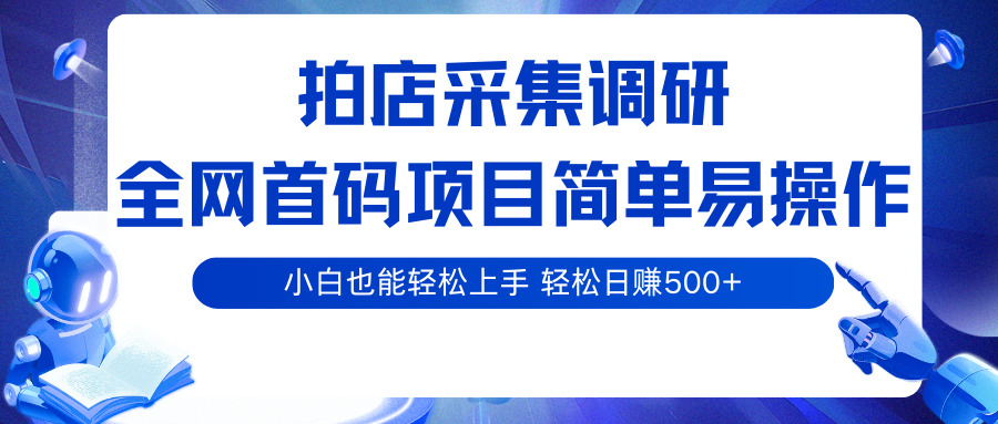 拍店采集调研，全网首码项目，简单易操作， 小白也能轻松上手，轻松日赚500+-甄选网创