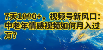 7天收益1k+，视频号新风口：中老年情感视频如何月入过W?-甄选网创