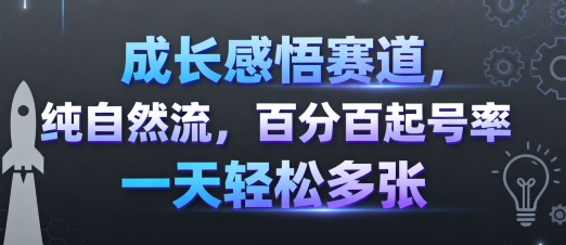 成长感悟赛道，纯自然流，百分百起号率 一天轻松多张-甄选网创